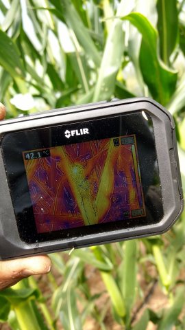 img_20170329_132513454_hdr